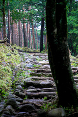 Fototapeta premium えびの高原