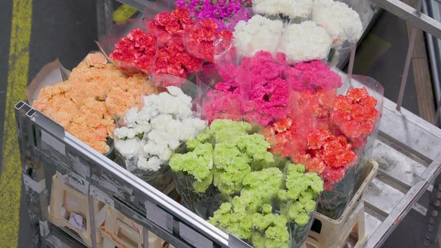 853_Fresh_colorful_flowers_wrapped_in_a_plastic_cover.mov