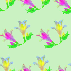 Naklejka na ściany i meble Alstroemeria. Seamless pattern texture of flowers. Floral background, photo collage