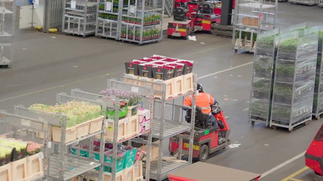 852_Two_flower_trains_moving_forward_with_the_flowers_on_the_carts.mov