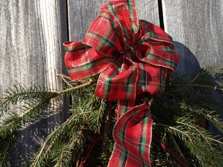 Bow on Bough