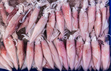 Fresh squid in local market in Thailand