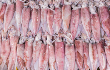 Fresh squid in local market in Thailand