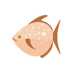 Sea fish icon. Natural fresh food, healthy food vector illustration isolated on white background in flat design.