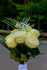 wedding bouquet of white roses