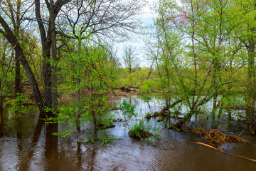 Trees walkway flooded after the rain.