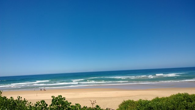 vic bay