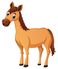 Brown horse with brown mane