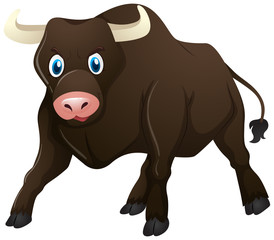 Bull standing on white background