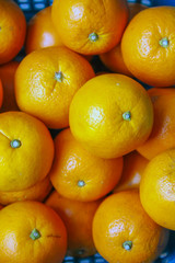 oranges