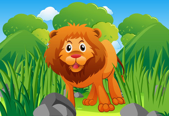 Obraz na płótnie Canvas Wild lion in the bush