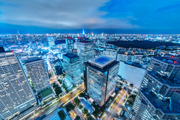 Fototapeta premium 東京の夜景