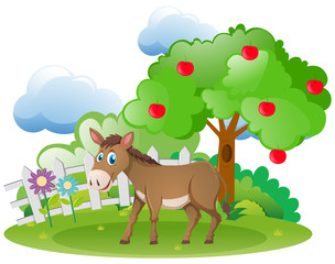 Obraz na płótnie Canvas Donkey and apple tree in the farm