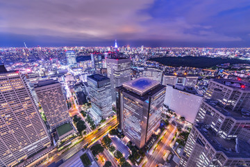 Fototapeta na wymiar 東京の夜景