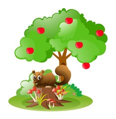 Squirrel under apple tree