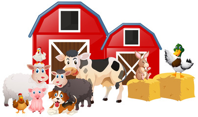 Farm animals in the barn