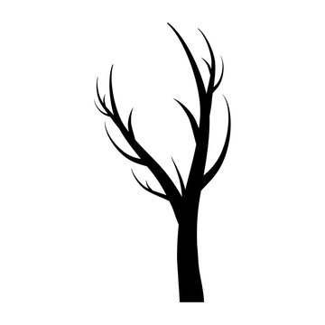 dry tree icon over white background vector illustration