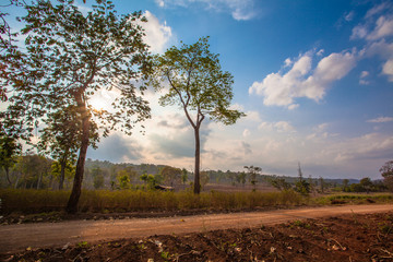 Obraz premium a small dirt road to Nean Sawan viewpoint