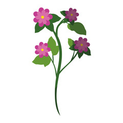 Beautiful ornamental flowers icon vector illustration graphic design