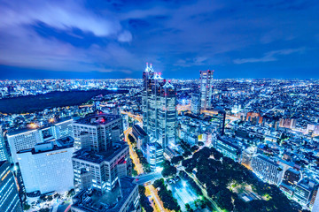 Fototapeta premium 東京の夜景