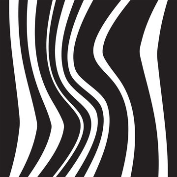 Striped seamless abstract background. black and white zebra print. illustration © skrotov