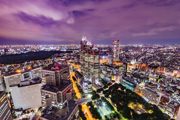 Obraz premium 東京の夜景