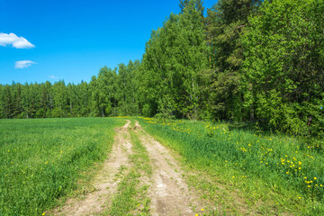 Fototapeta na wymiar Rural road on the edge of green fields.