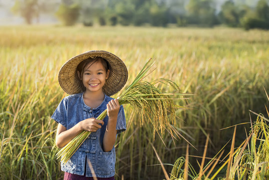 Asian Children Farmer On Yellow Rice Field.