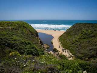 Trail to Montara State Beach