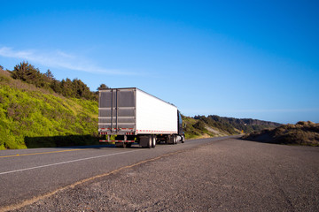Black semi truck with trailer drive on straight road with green grass and bushes