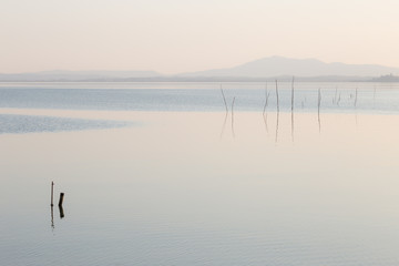 Mininalistyczny widok na jezioro, z kilkoma drewnianymi słupami na pierwszym planie i delikatnymi kolorami - 159685415