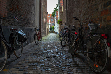 bicycles in the street