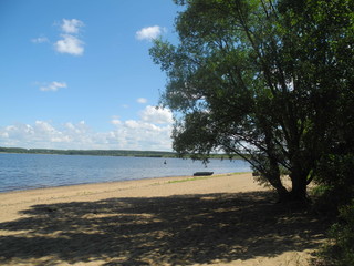 Sandy river beach on a Sunny summer day with the willow on the shore