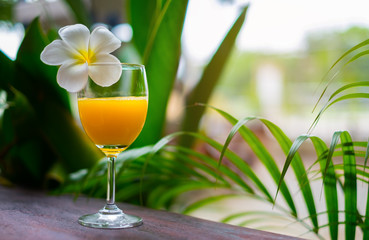 Orange juice in a glass of wine with plumeria flower is placed on a wooden table in the garden. Beverage in nature blurred background.