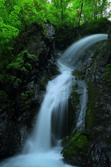 Fototapeta na wymiar 夏の七折の滝