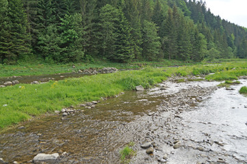 Nice view of the mountain river. The mountain river flows rapidly among the Carpathian mountains...