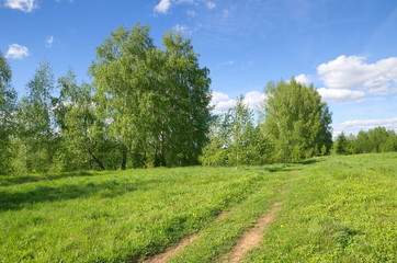 Spring landscape with road