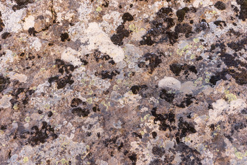 Surface of the granite rock covered with lichen