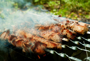 Hot shish kebab from pork on the nature.