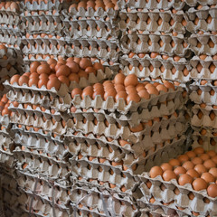 Eggs from chicken farm in the package