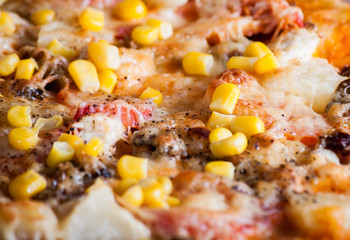 Fresh pizza with cheese