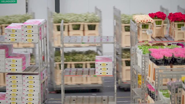 871_The_flower_carts_moving_forward_inside_the_warehouse.mov