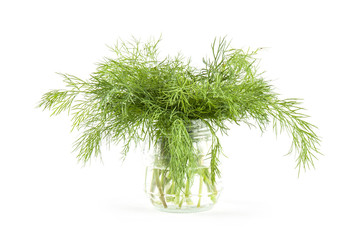 Fresh green dill