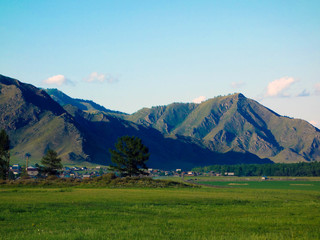 Altai
