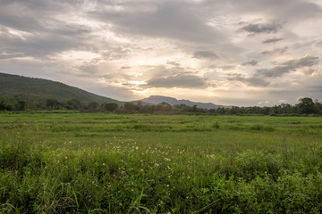Meadow and mountain view in the evening