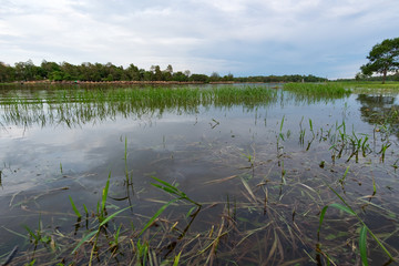 Flooded water in rainy season.