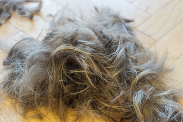 Close-up of a bunch of hair cut. Shallow depth of focus. Concept services / home trimming.