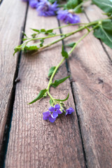 Flowers on a wooden background bouquet creation.