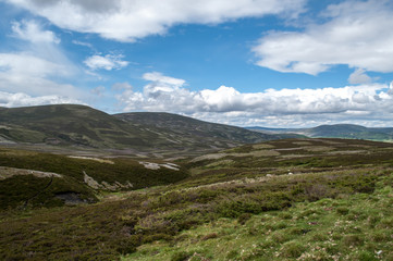 Highland landscape in summer in Scotland.