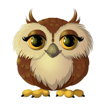 Cute brown owl